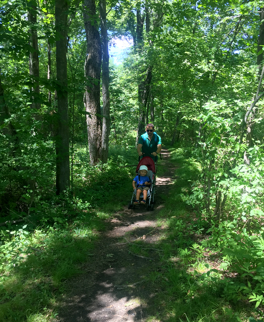 Picnic en el White Memorial Conservation Center — Delicious & Sons