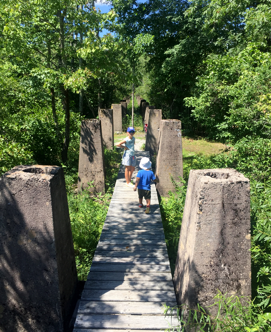 Picnic at the White Memorial Conservation Center — Delicious & Sons