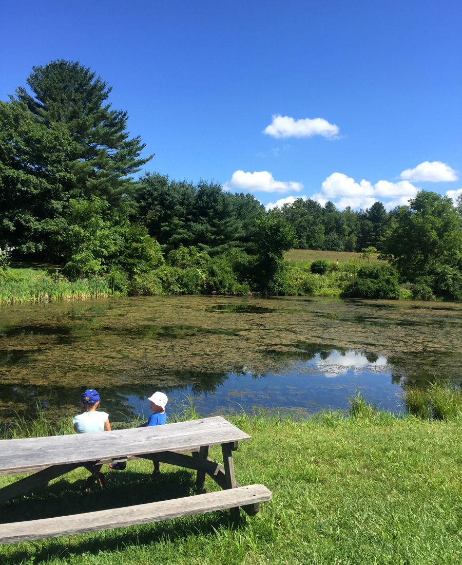 Picnic at the White Memorial Conservation Center — Delicious & Sons