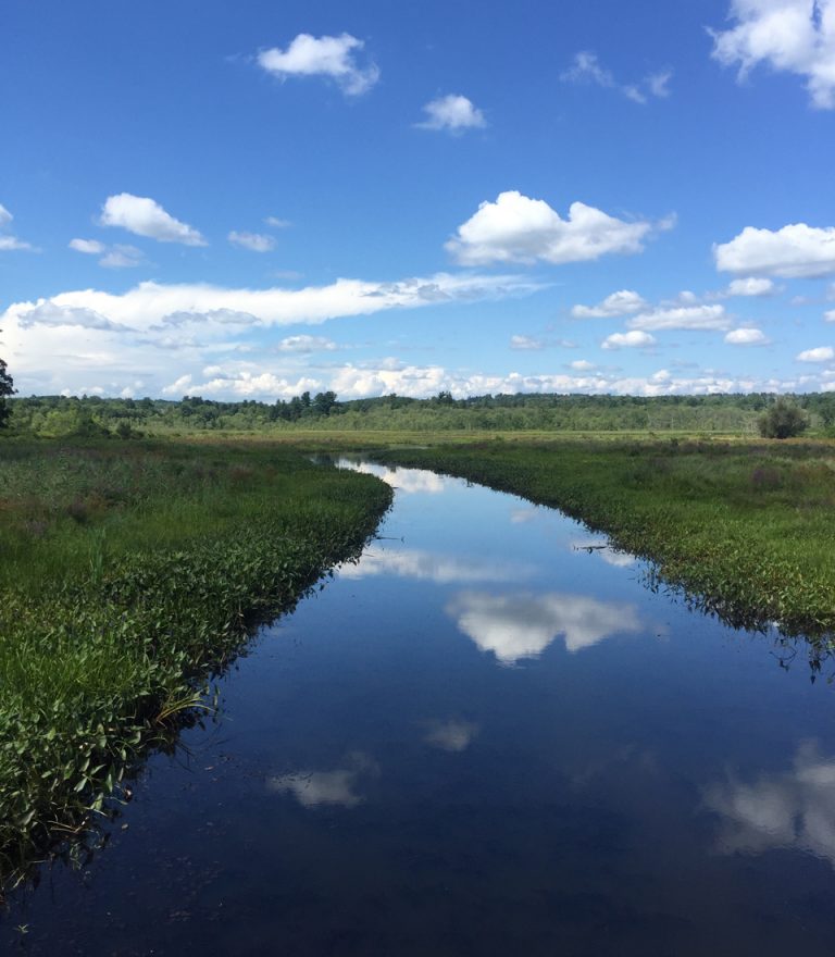 A reflection of life