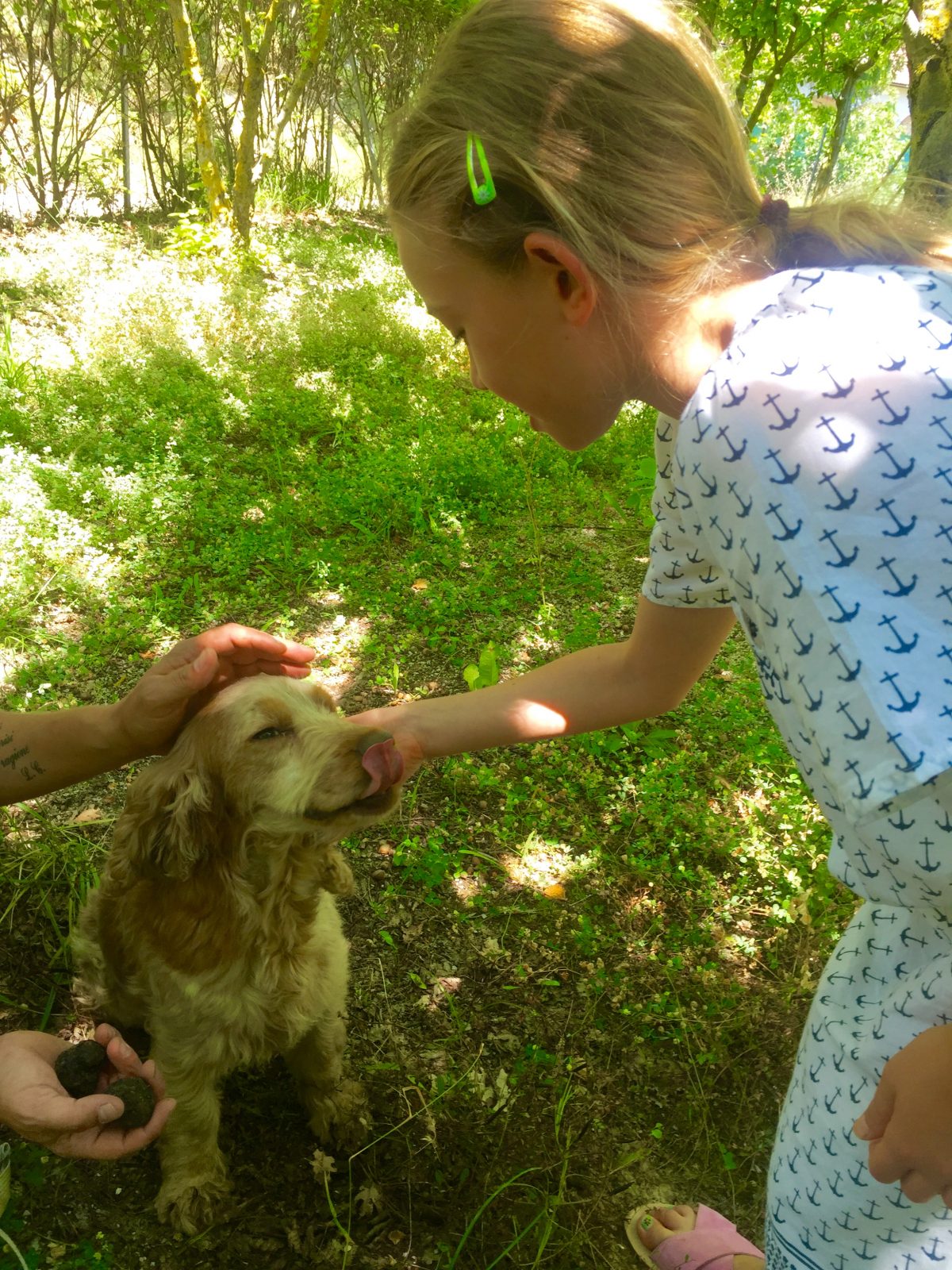 A Passion for truffle products in Umbria, Italy — Delicious & Sons