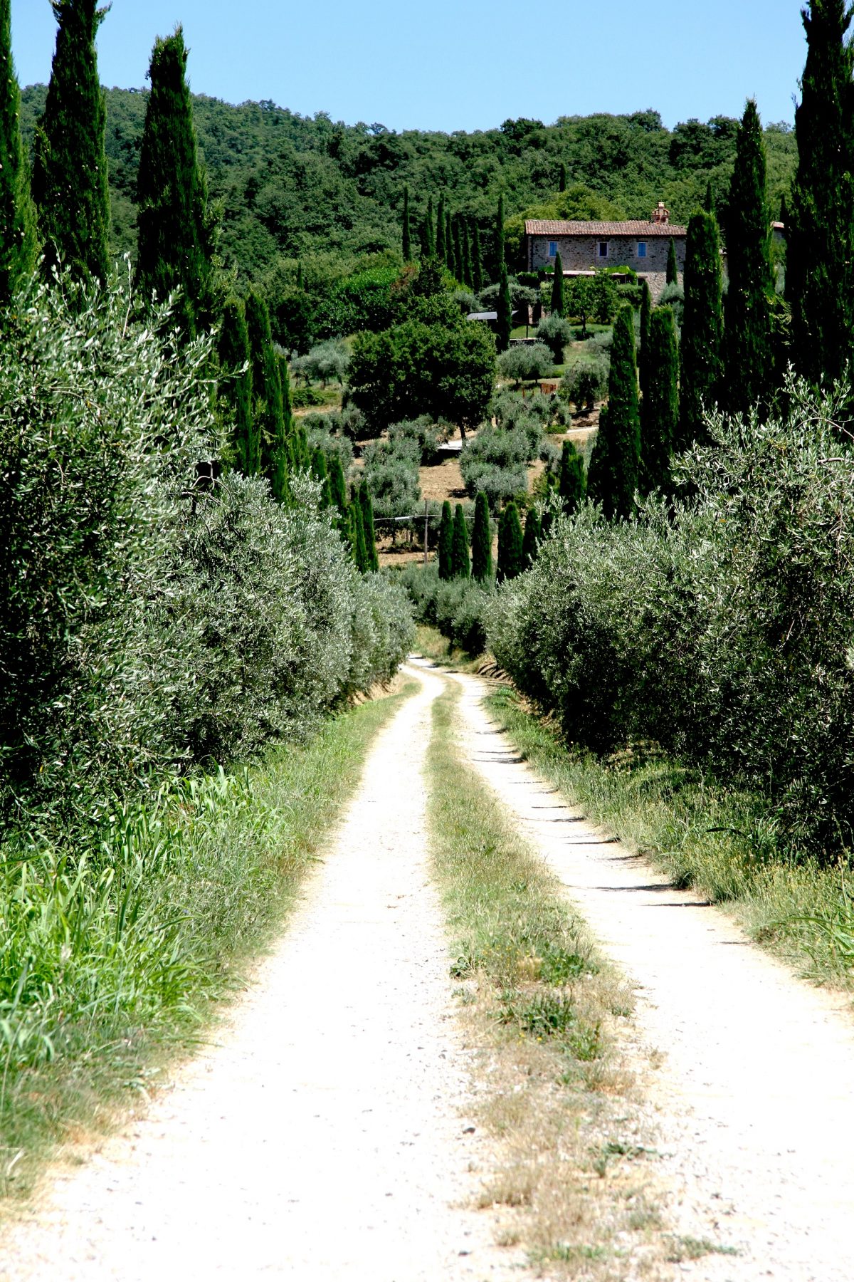 A Passion for truffle products in Umbria, Italy — Delicious & Sons