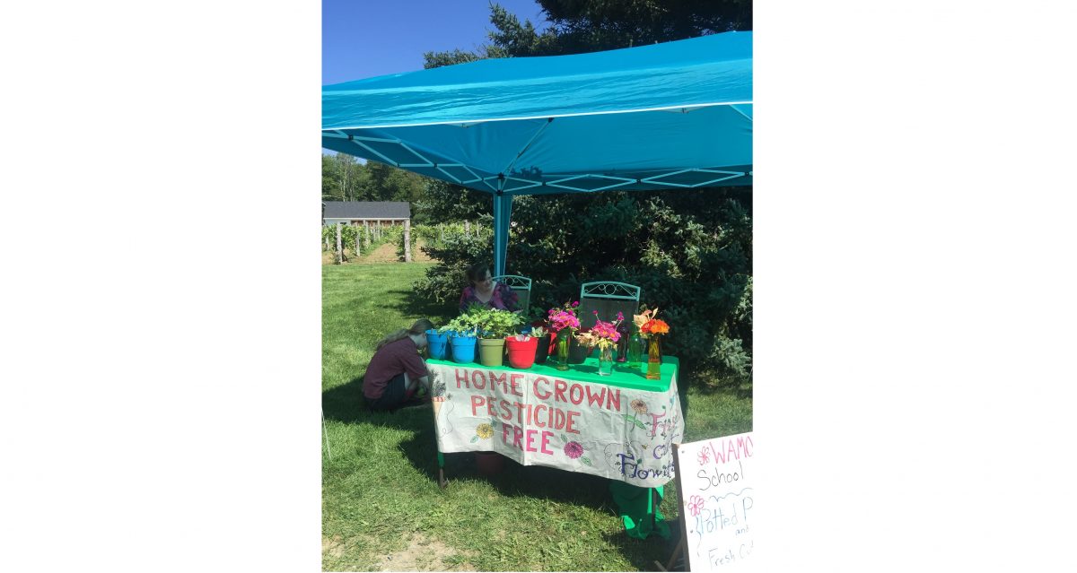 Escapando de la gran ciudad: Goshen Farmers’ Market en Miranda Vineyard — Delicious & Sons