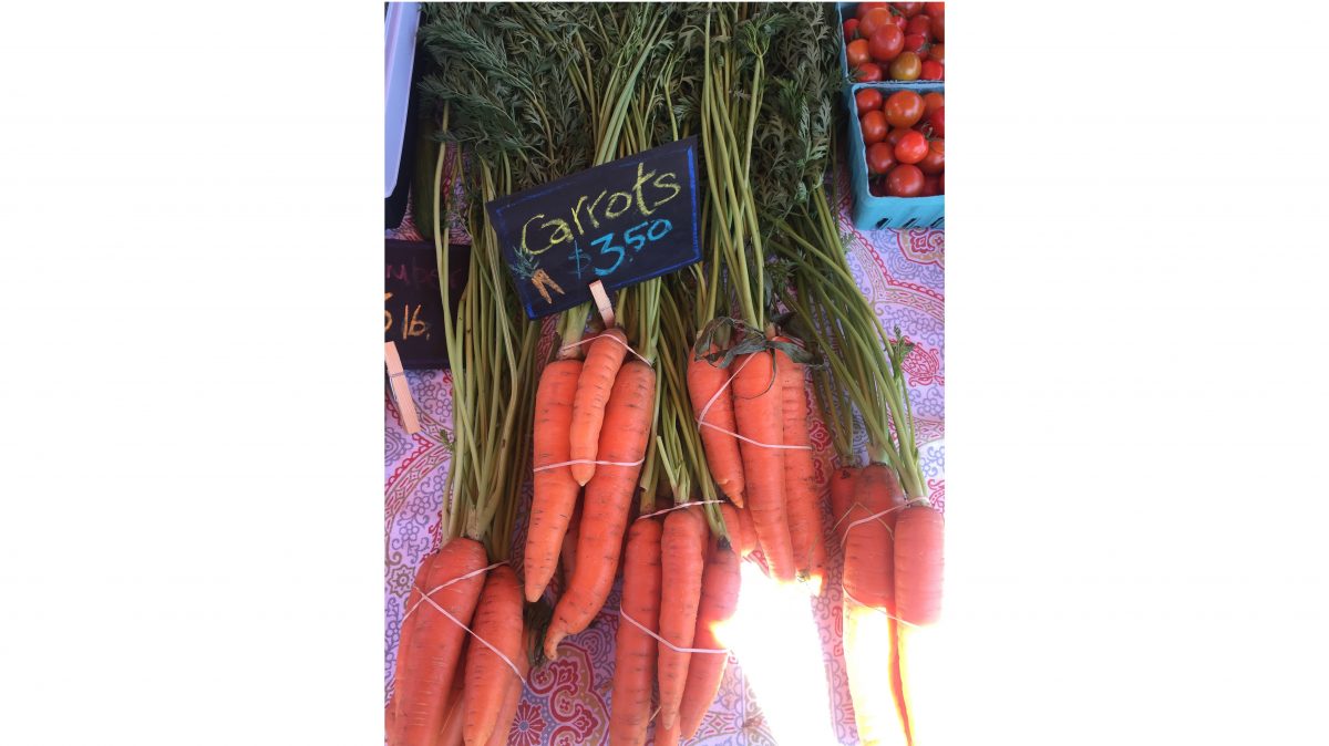 Escapando de la gran ciudad: Goshen Farmers’ Market en Miranda Vineyard — Delicious & Sons