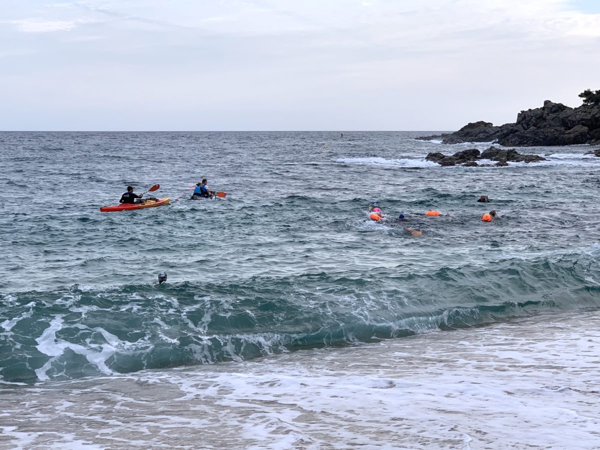 Olivia & the Jelly Cleaner Meets the “Islander Kayak” — Delicious & Sons