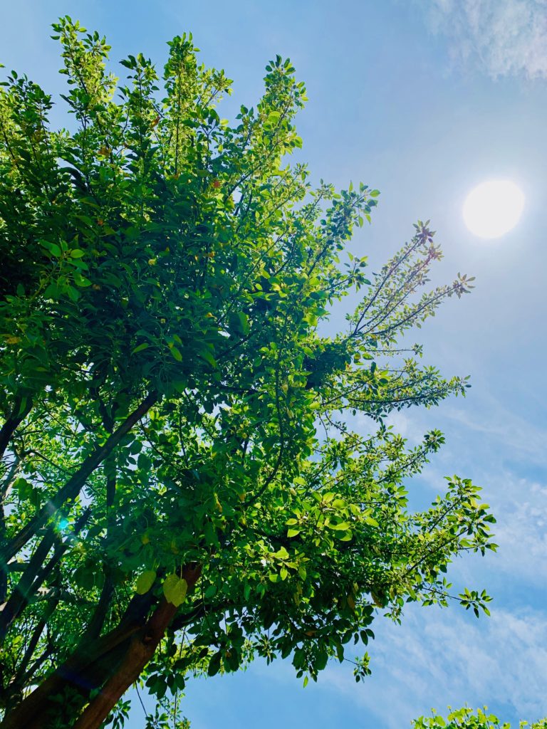 Ahora que Empezamos a Salir