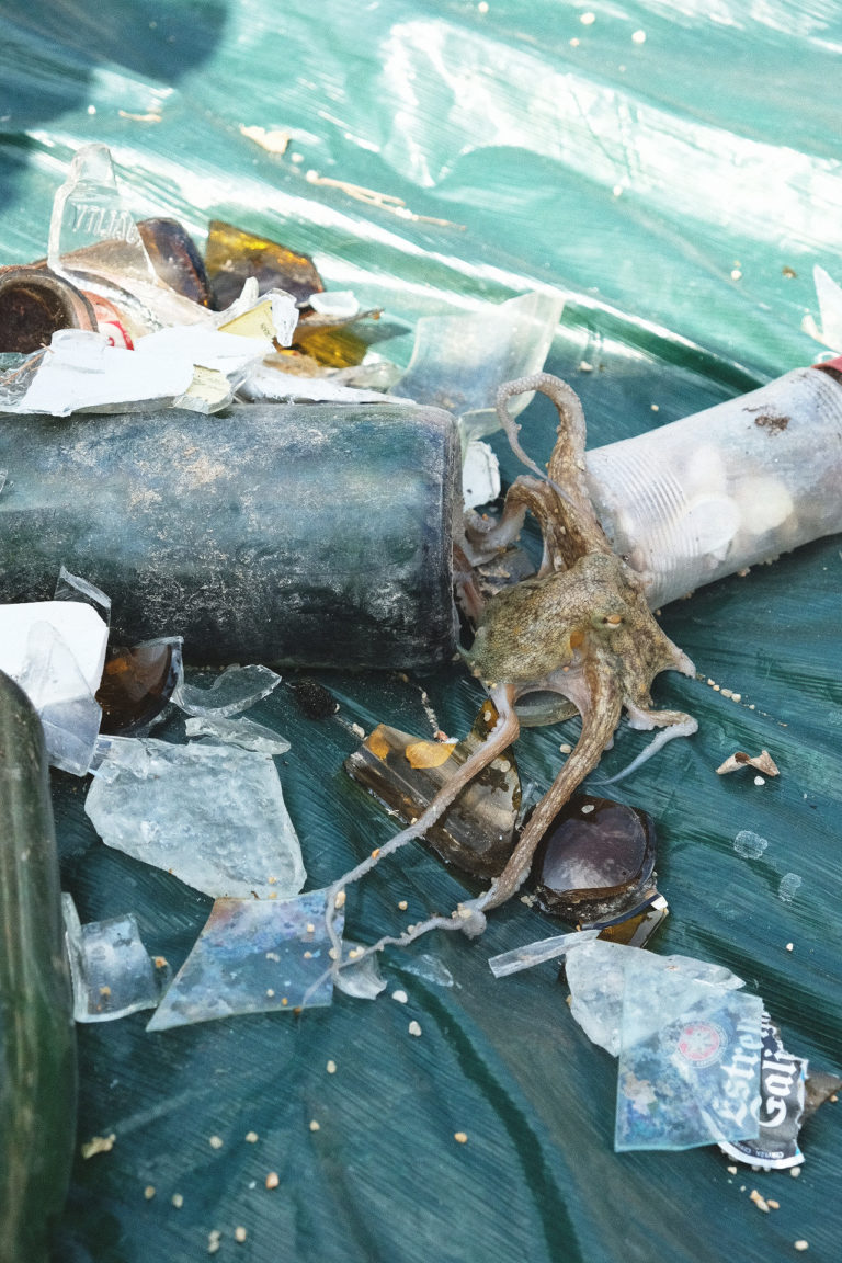 Mediterranean Beach Clean Up 2020