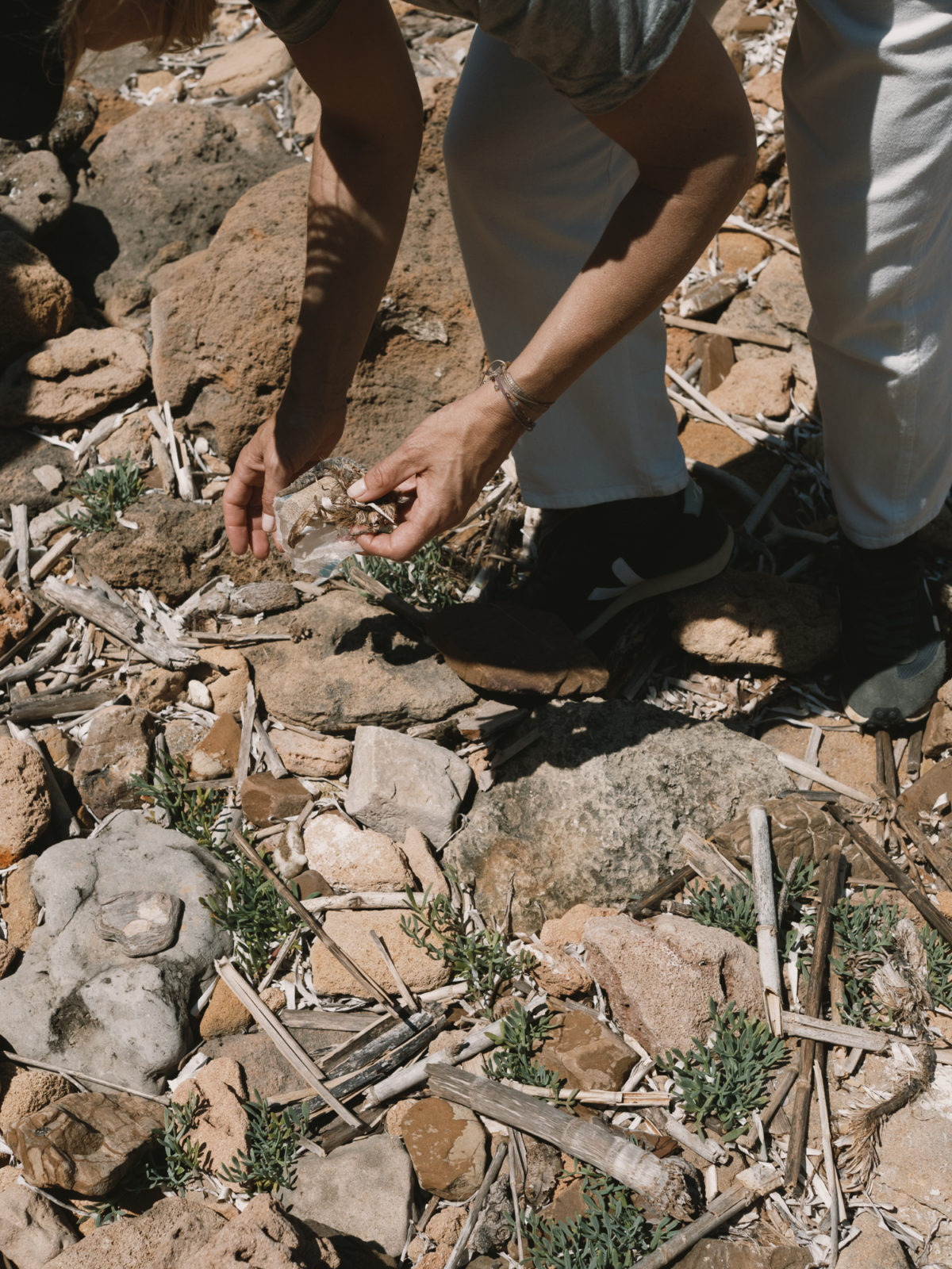 WE CARE Menorca: Parte II — Delicious & Sons