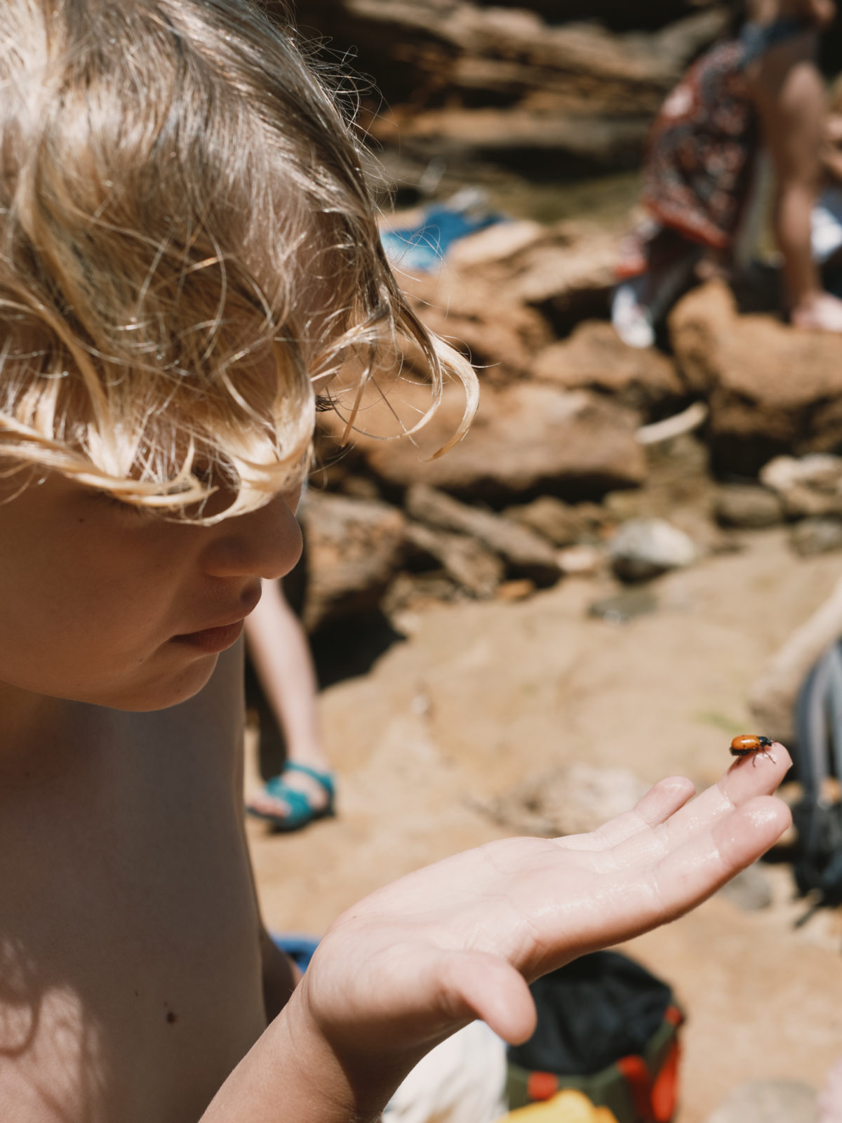 WE CARE Menorca: Parte II — Delicious & Sons