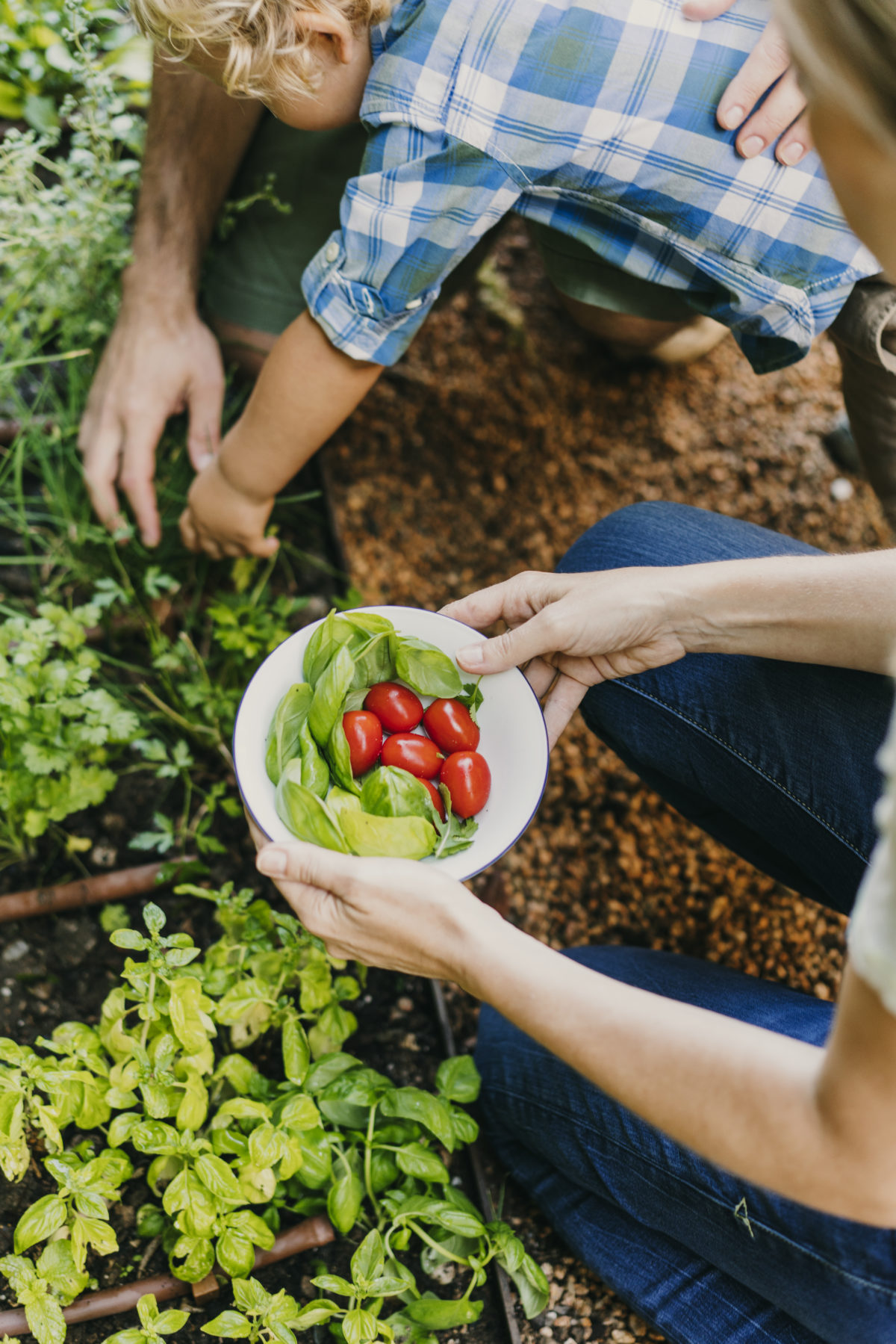 Proyecto de Alimentación Sostenible | Delicious & Sons