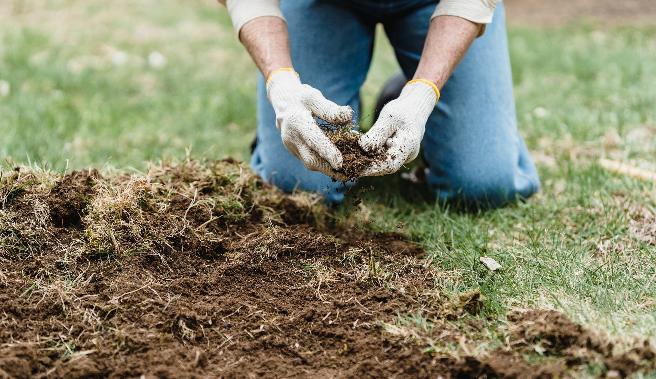 Agricultura <br>Ecológica